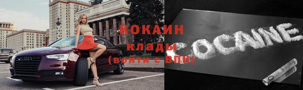 стаф Верея