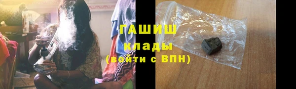 стаф Верея