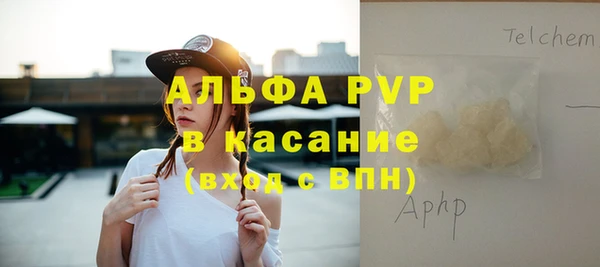 стаф Верея