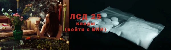 стаф Верея