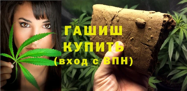 стаф Верея